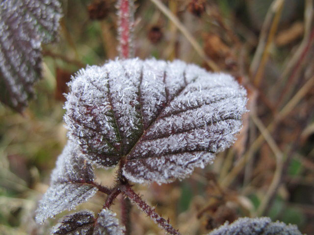 neben Weg 489 zwischen Lambach und St&uuml;rzerkogel