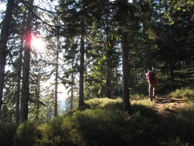 Christoph auf Weg 489 am Farrenboden