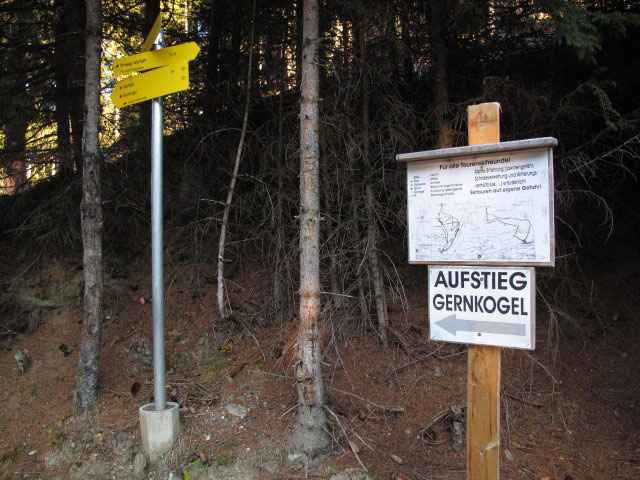 Weg 731 am Vorderwaldberg