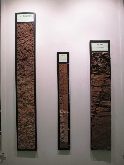 Wein.Region von Wein.Sinn Sandgrube 13