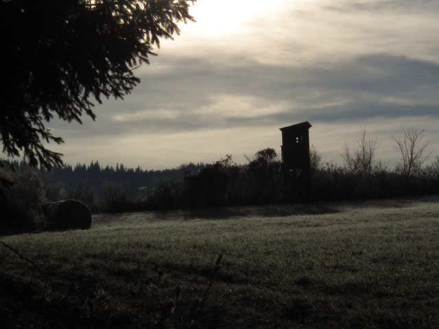 Weg 201 zwischen Waidmannsfeld und Abzweigung Tablerh&ouml;hle