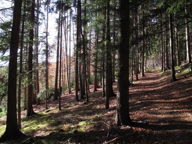 Weg 201 zwischen Waidmannsfeld und Abzweigung Tablerh&ouml;hle