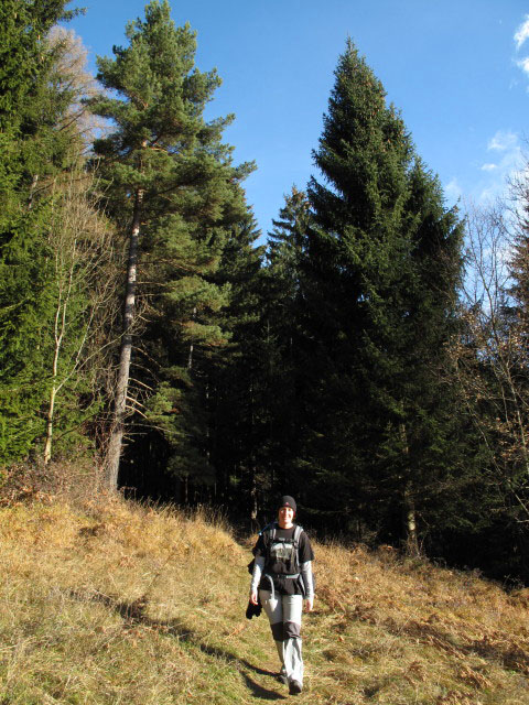Carmen auf Weg 201 zwischen Waidmannsfeld und Abzweigung Tablerh&ouml;hle