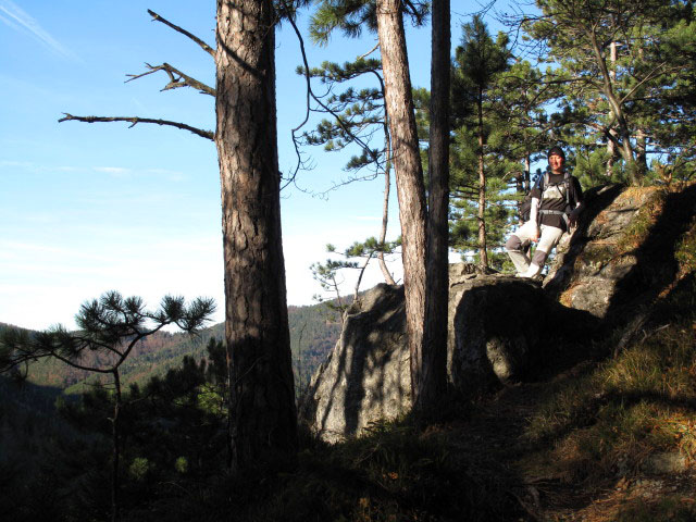 Carmen neben Weg 201 zwischen Waidmannsfeld und Abzweigung Tablerh&ouml;hle