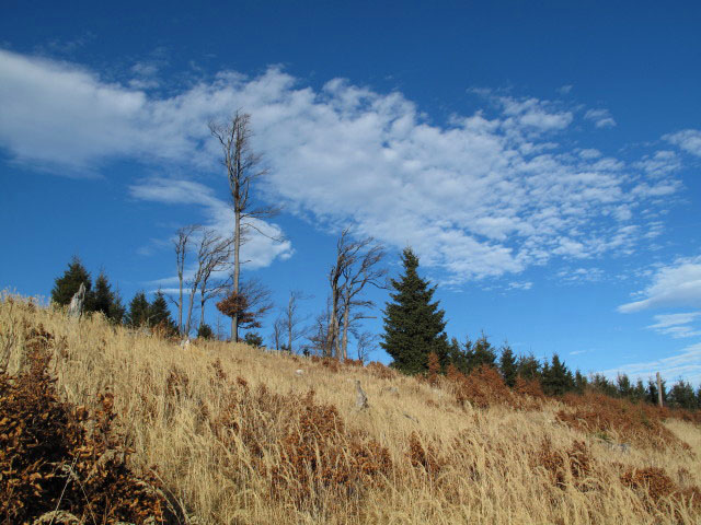 neben Weg 201 zwischen Plattenstein und Katharinenschlag