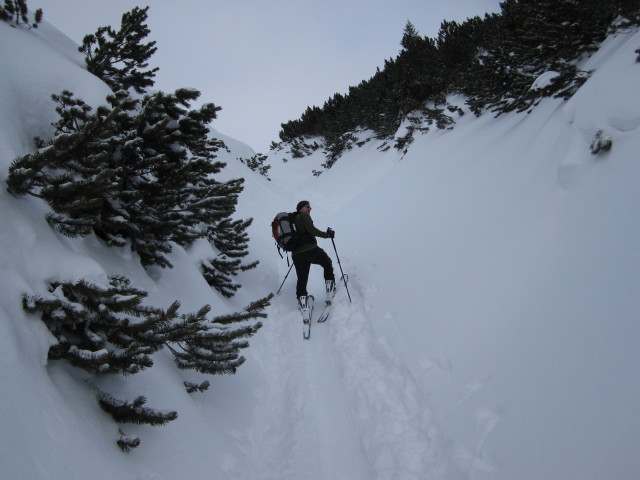 Axel zwischen Zunter-Kopf und Grie&szlig;iges Egg
