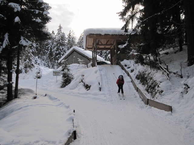 Martina in Kogelmoos