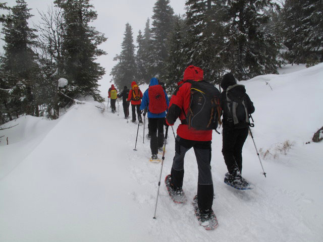 Stefan, Christina, Sonja, Manuela, Gabriela, Michael und Marion zwischen Roseggerhaus und Ganzalm (1. J&auml;n.)