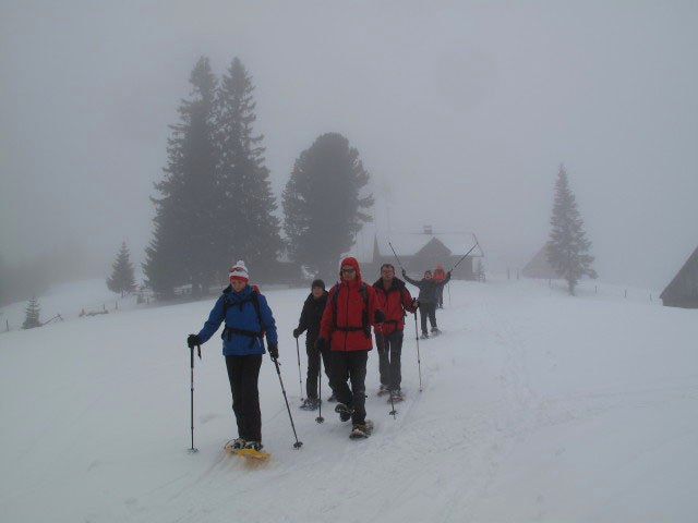 Gabriela, Marion, Stefan, Michael, Sonja und Christina auf der Ganzalm, 1.389 m (1. J&auml;n.)
