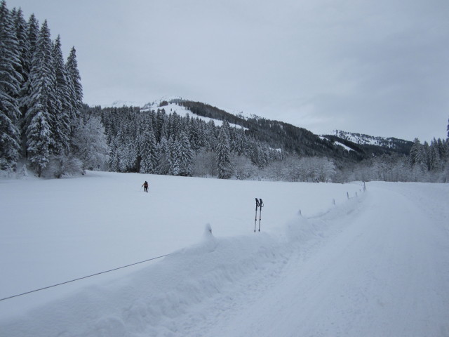 Hintere Wildsch&ouml;nau