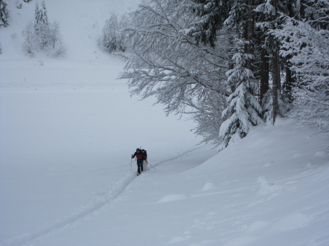 Hintere Wildsch&ouml;nau