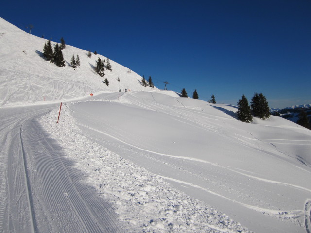 Zufahrt Hornlift 2000