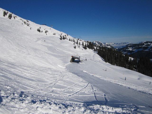Zu- und Abfahrt Hornlift 2000