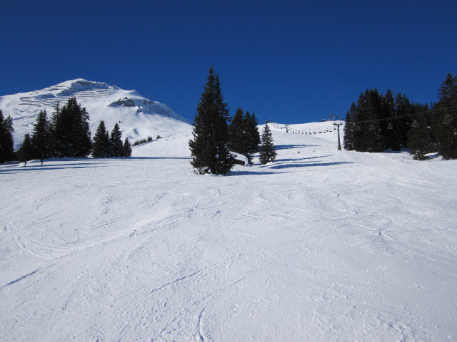Abfahrt 'Rudalpe - Lech' (15. J&auml;n.)