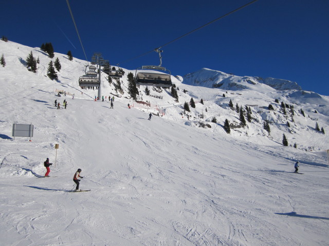 direkte Hexenbodenabfahrt von der Hexenbodenbahn aus (15. J&auml;n.)