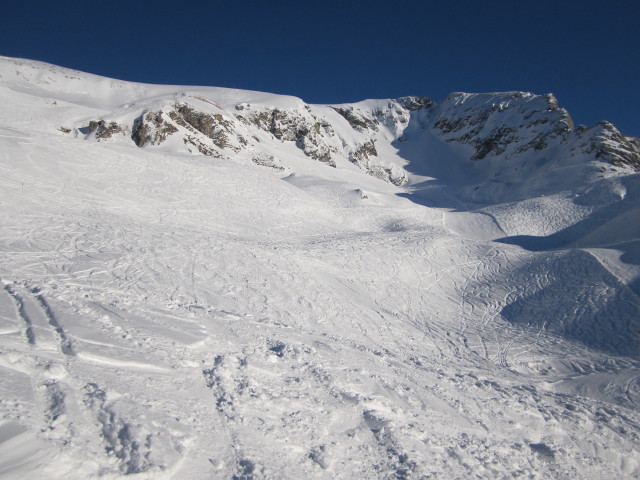 neben der Balmenabfahrt (15. J&auml;n.)