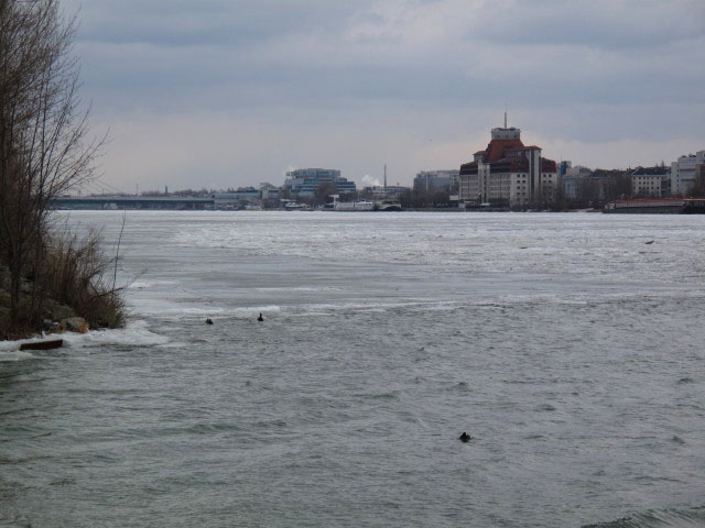 zwischen Reichsbr&uuml;cke und Donaustadtbr&uuml;cke