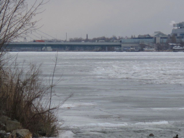 Donaustadtbr&uuml;cke