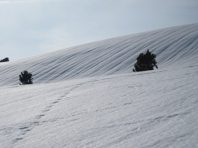 neben der Geolspiste