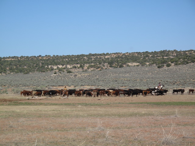 Squaw Flats (14. Mai)