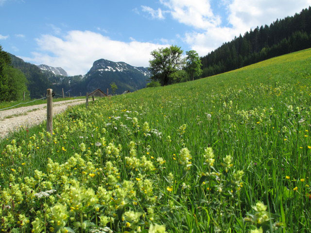 S&ouml;lkner, 958 m (26. Mai)