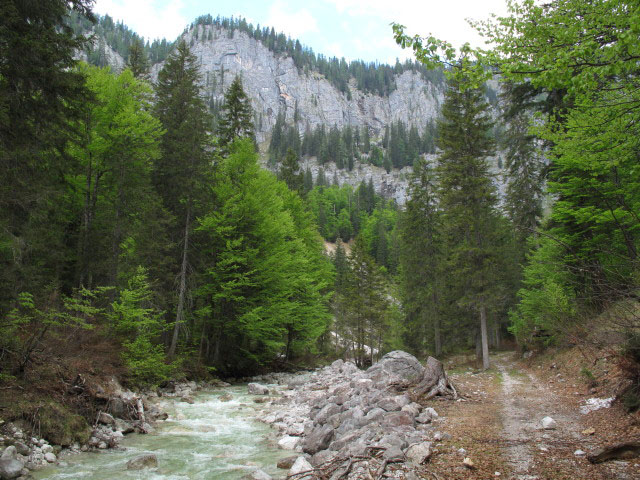 Grimming zwischen B&ouml;hmh&uuml;tte und Erste Stickl (26. Mai)