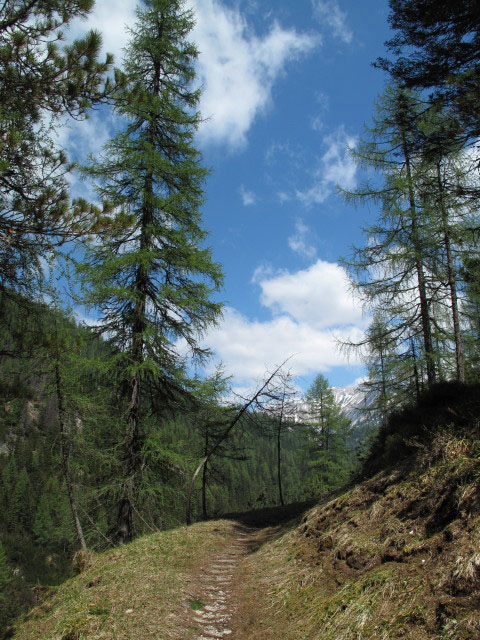 Weg 218 zwischen Hanslh&uuml;tte und Grimmingboden (26. Mai)