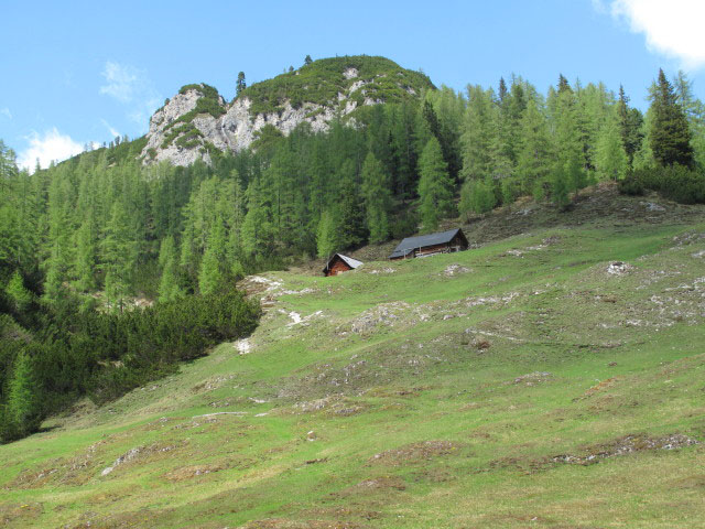 Gra&szlig;eckalm, 1.601 m (26. Mai)