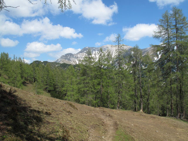 Weg 280 zwischen Gra&szlig;eckalm und T&uuml;rkenkar (26. Mai)