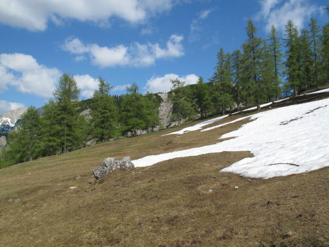 B&auml;renalm (26. Mai)