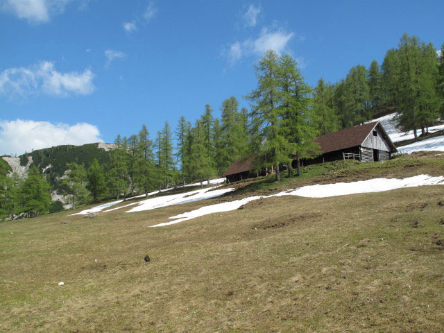 B&auml;renalm (26. Mai)