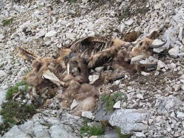 S&uuml;dostsporn-Klettersteig: beim Einstieg (27. Mai)