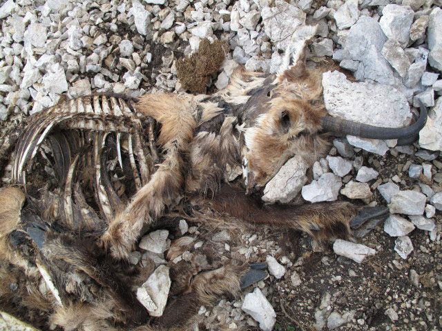 S&uuml;dostsporn-Klettersteig: beim Einstieg (27. Mai)