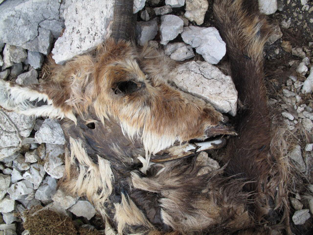 S&uuml;dostsporn-Klettersteig: beim Einstieg (27. Mai)