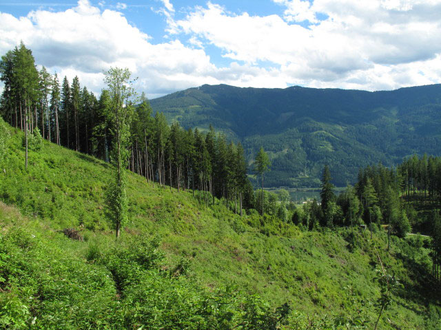 Gaishorner See (15. Juni)