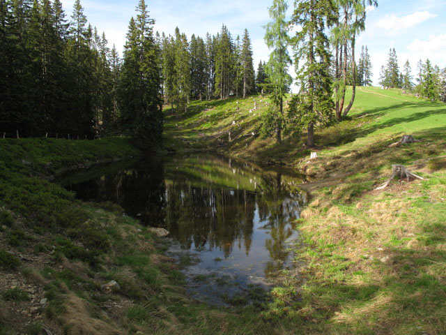 Treffnersee, 1.529 m (15. Juni)