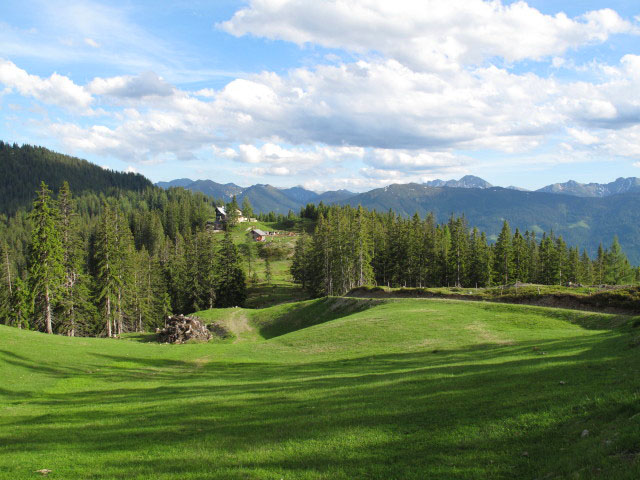 Treffnerriedl (15. Juni)