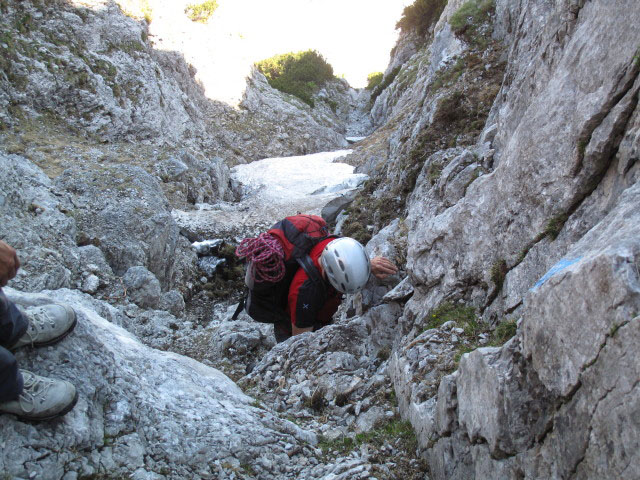 Thomas zwischen Kleinem &Ouml;dstein und Gamssteinsattel (16. Juni)