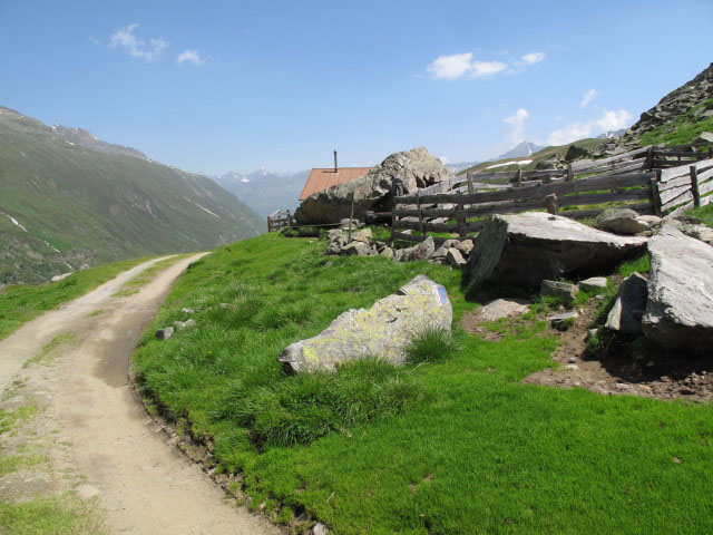 Gurgler Gro&szlig;alm, 2.252 m (30. Juni)