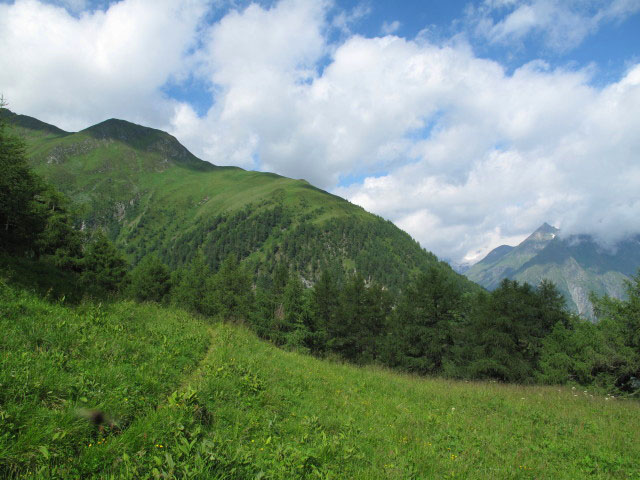 Weg 72 zwischen Losach und Wetterkreuz (7. Juli)