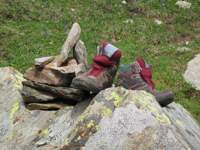 neben Weg 80 (7. Juli)