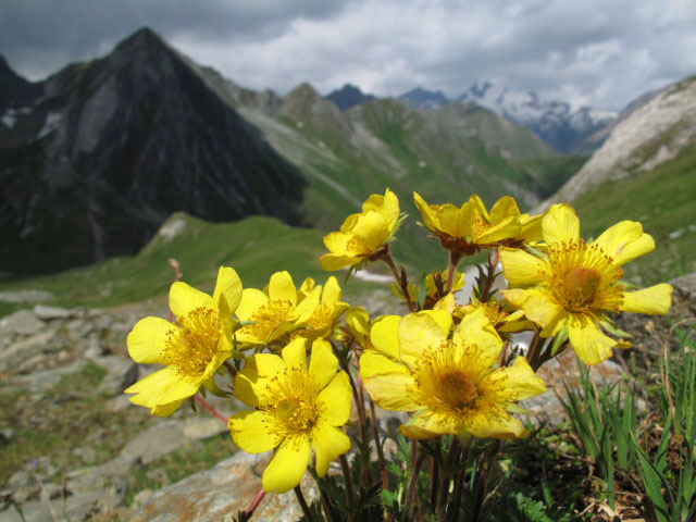 neben Weg 90 (8. Juli)