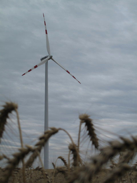 Windpark Marchfeld