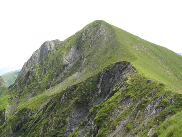 Schafelkopf