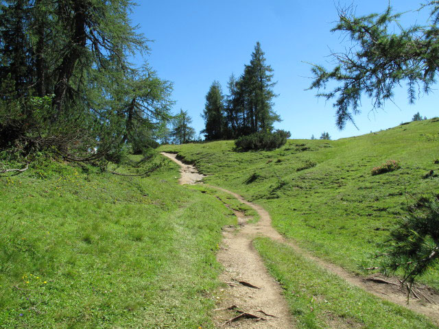 zwischen Quendling-See und Gro&szlig;see