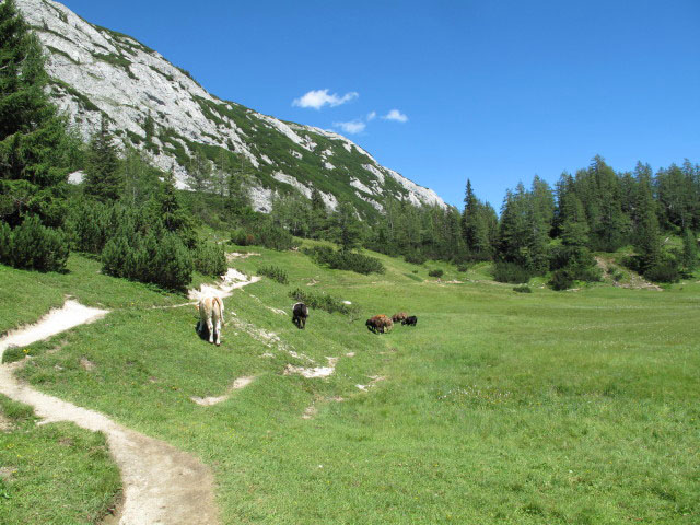 zwischen Quendling-See und Gro&szlig;see