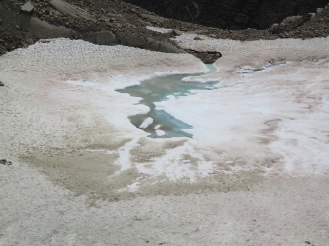 Grinner Ferner (11. Aug.)