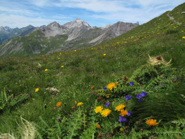 vom Augsburger H&ouml;henweg Richtung Westen (12. Aug.)