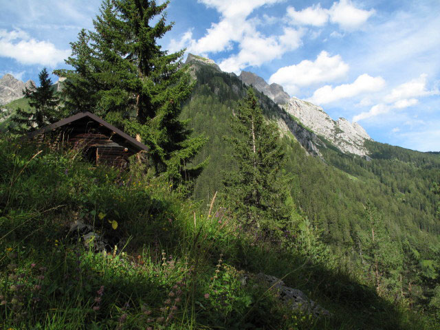 zwischen Flarschbach und B&ouml;sen Rinner (12. Aug.)