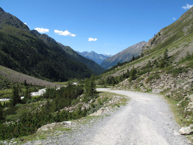 Weg 131 am R&auml;uhloubb&ouml;dele (20. Aug.)